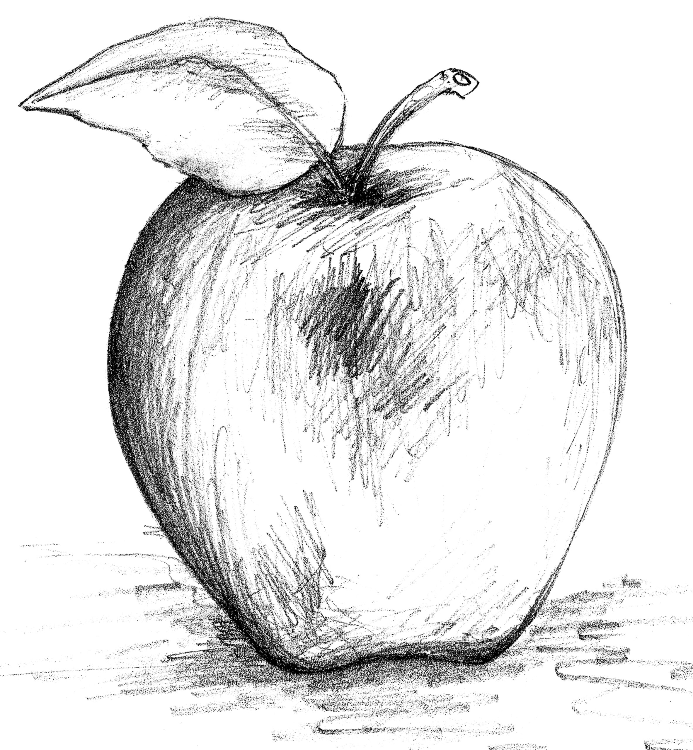 black and white drawing of an apple